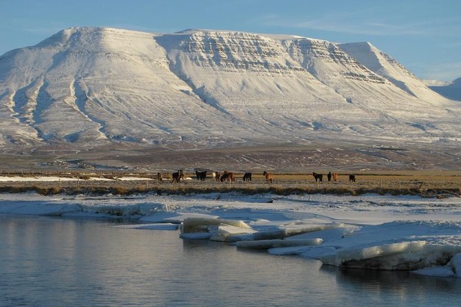 The Viking Horse Riding Experience in North Iceland - Why Beginners Feel at Ease