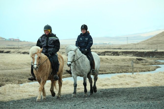 The Viking Horse Riding Experience in North Iceland - The Waterfall, River, and Open Hills