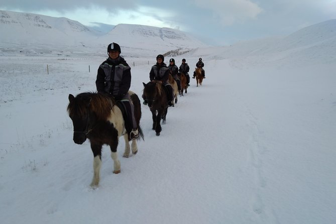 The Viking Horse Riding Experience in North Iceland - What the Price Includes at $123.75