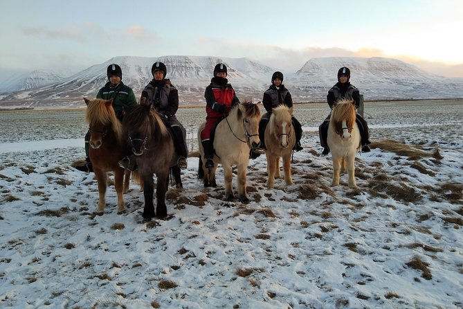 The Viking Horse Riding Experience in North Iceland - Weather, Timing, and Practical Comfort