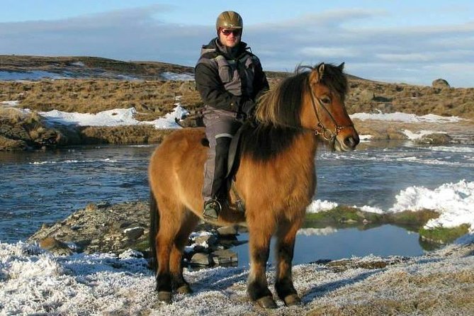 The Viking Horse Riding Experience in North Iceland - Who Will Enjoy This Ride Most