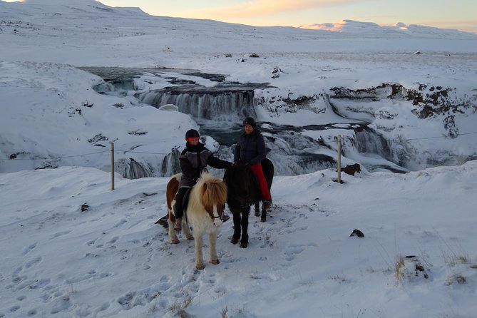 The Viking Horse Riding Experience in North Iceland - Should You Book the Viking Horse Riding Experience?