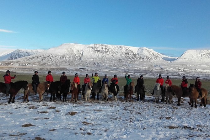 The Viking Horse Riding Experience in North Iceland - Learning the Tölt on an Icelandic Horse