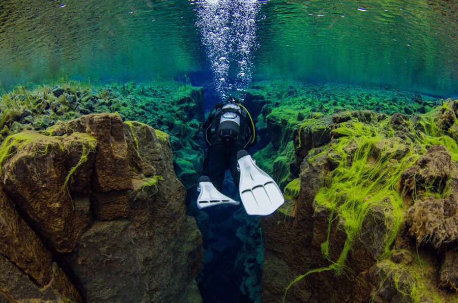 Thingvellir: Silfra Fissure Diving with Optional Pickup - Who should book this experience