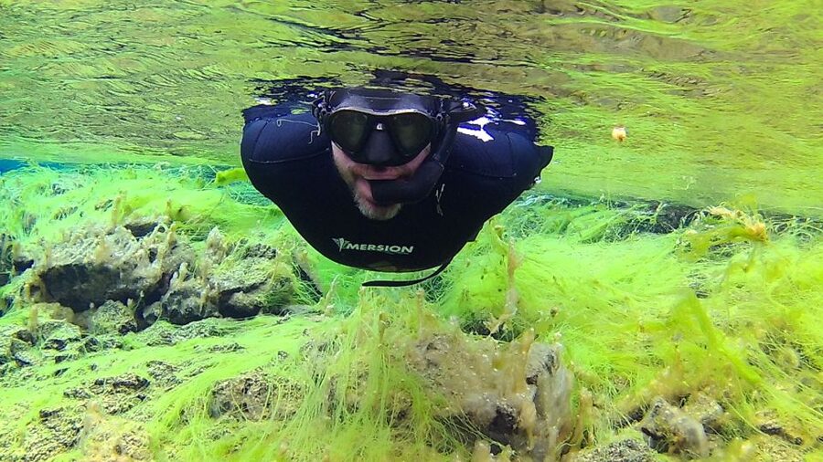 Thingvellir: Silfra Freedive Adevnture with a Guide - Key points to know before booking