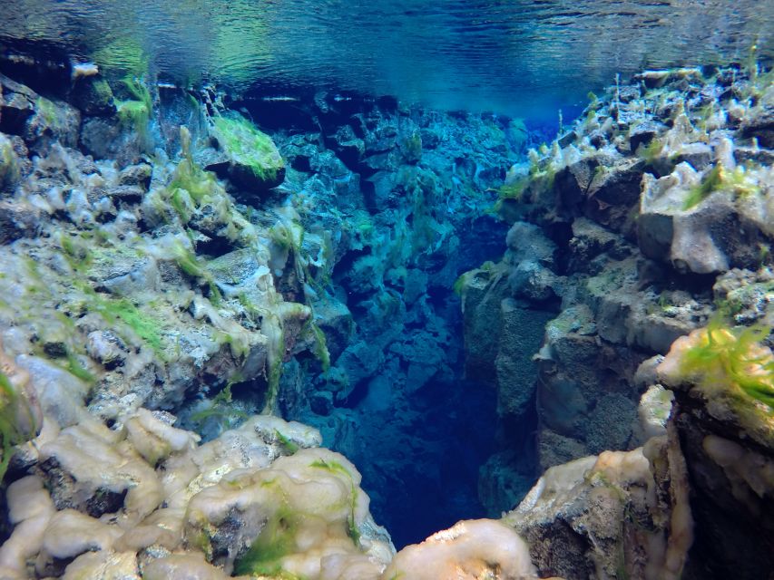 Thingvellir: Silfra Freedive Adevnture with a Guide - Who should book this activity