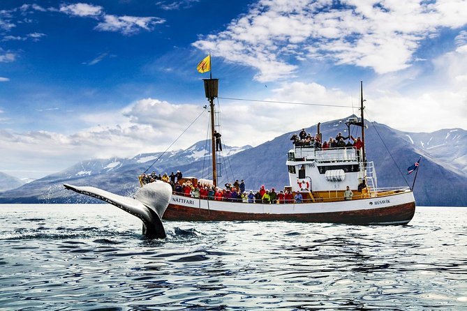 Traditional Oak Ship Whale Watching Tour From Husavik - Sailing from Husavik into Skjálfandi Bay