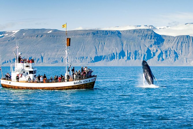 Traditional Oak Ship Whale Watching Tour From Husavik - Booking, timing, and cancellation details