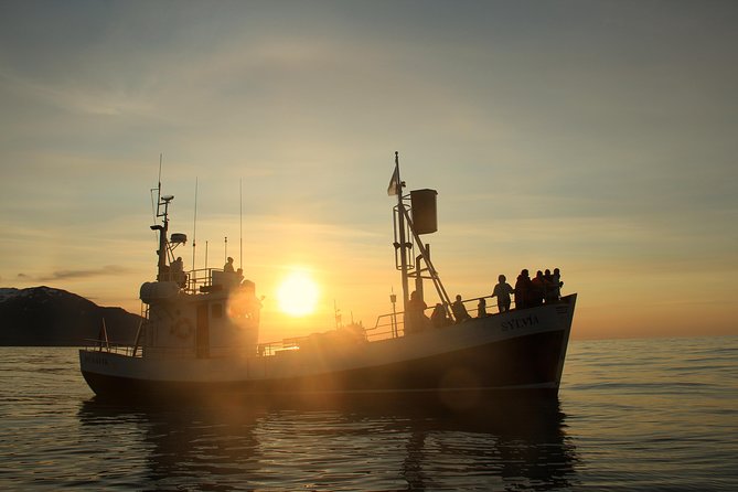 Traditional Whale Watching from Húsavík by Local Family Company - What Happens If You See No Whales?