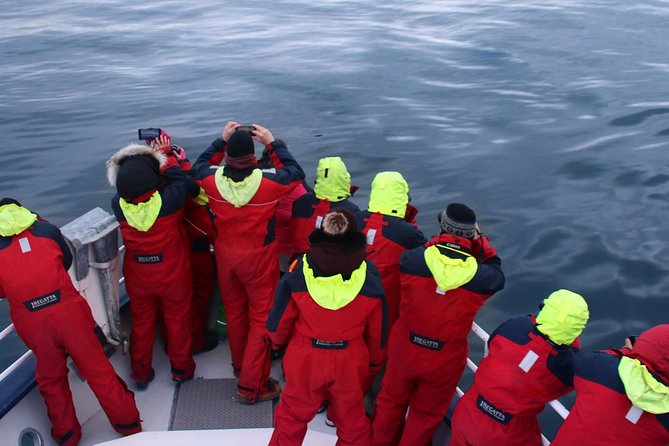 Two-In-One: Whale & Puffin Watching Tours from Reykjavik - What the whale guarantee really gives you