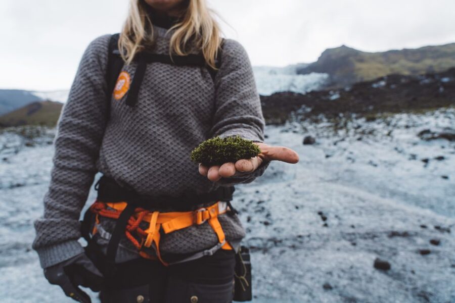 Vatnajökull: Short Glacier Encounter Walk with 4x4 Transfer - Price and practical value at $122