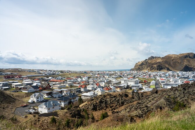 Vestmannaeyjar, Puffins & Volcanoes Small Group Day Tour - Key points to know before booking