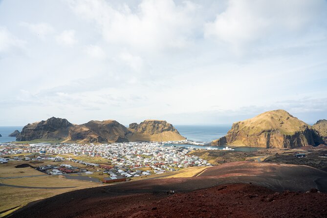 Westman Islands, Volcanoes and Puffins Small Group Tour - Who gets the best value from this tour