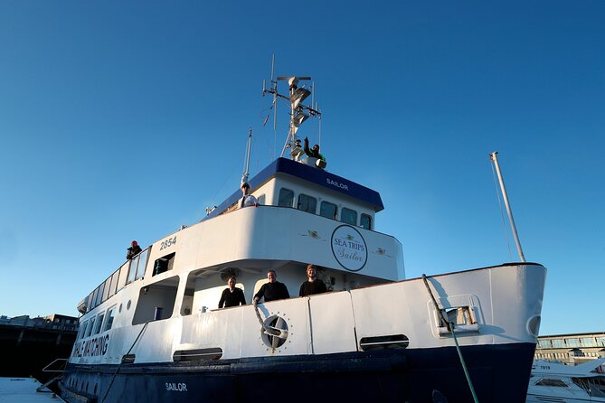 Whale Watching and Marine Life Tour in Reykjavik - What you see across Faxaflói Bay