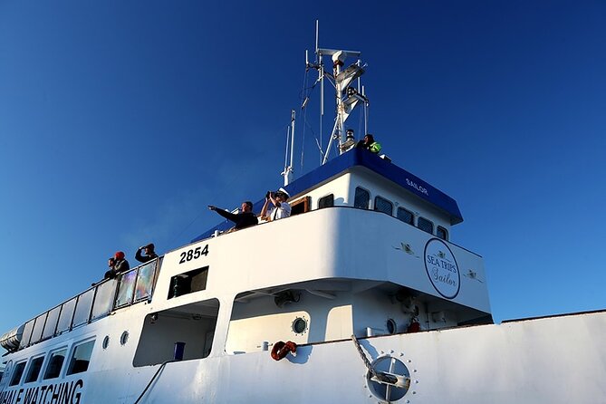 Whale Watching and Marine Life Tour in Reykjavik - How the possible outcomes compare