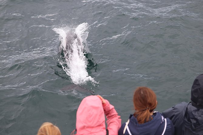 Whale Watching and Northern Lights Half-Day Combo Tour - Warm cabins make a cold-weather trip easier