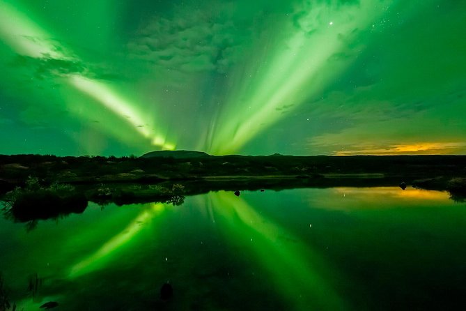Whale Watching and Northern Lights Half-Day Combo Tour - What $176 buys you in Reykjavik