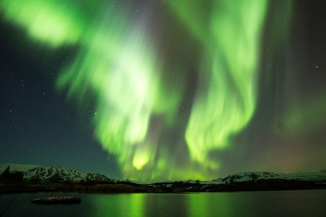 Whale Watching and Northern Lights Half-Day Combo Tour - What happens on the whale-watching cruise