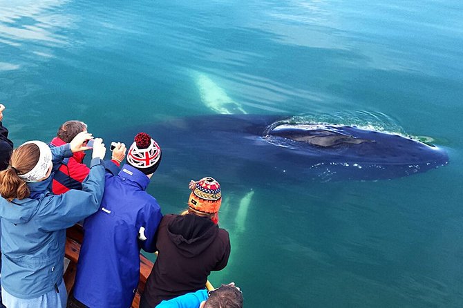 Whale Watching and Sea Angling Tour - Warm overalls, hot chocolate, and a practical Icelandic touch