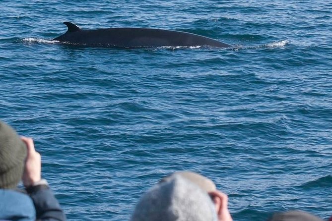 Whale Watching & ATV Adventure from Reykjavik - Starting at Lambhagi with the quad bikes