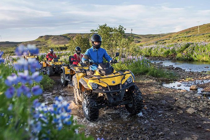 Whale Watching & ATV Adventure from Reykjavik - Three hours searching Faxaflói Bay