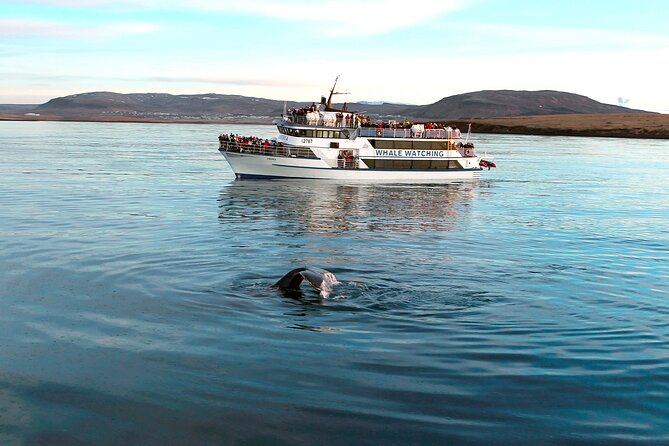 Whale-Watching Boat Tour with Expert Guide from Reykjavik - Rough seas, cold air, and choosing your day