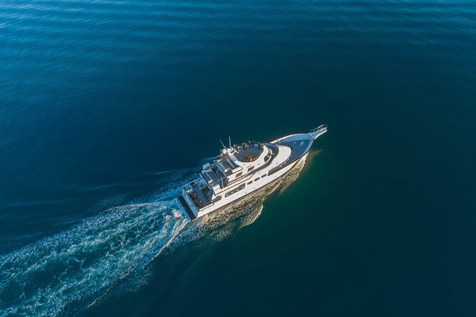 Whale Watching Cruise on a Yacht in Reykjavik - What you may see in Faxaflói Bay