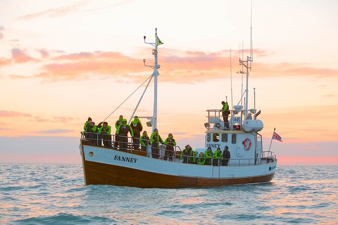 Whale Watching in Husavik - Staying warm on an exposed boat