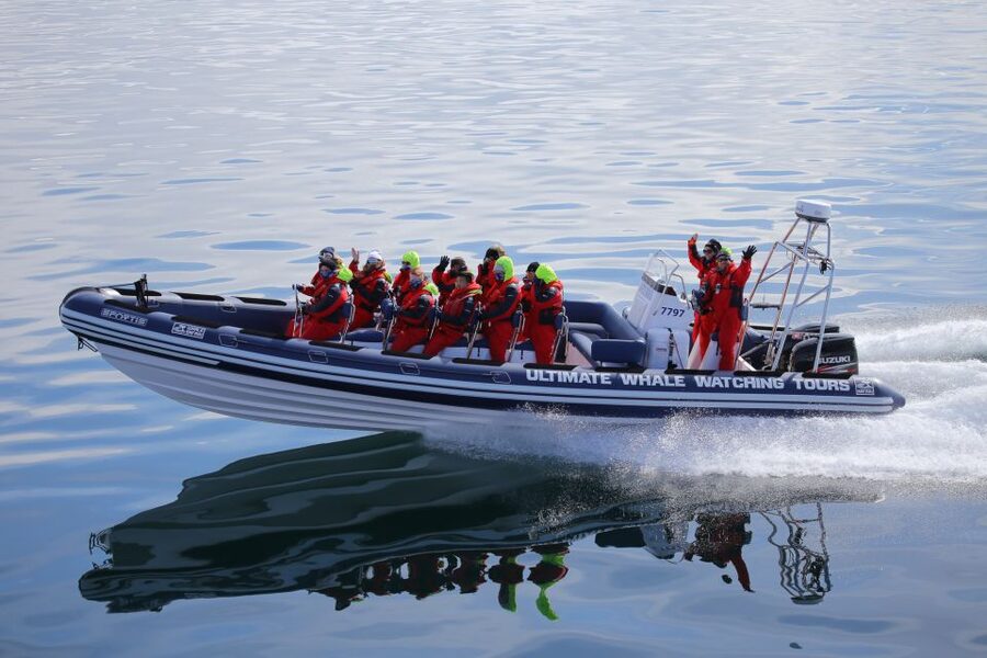 Whale Watching in Reykjavik by Speedboat - Meeting the boat at Reykjavik Old Harbour