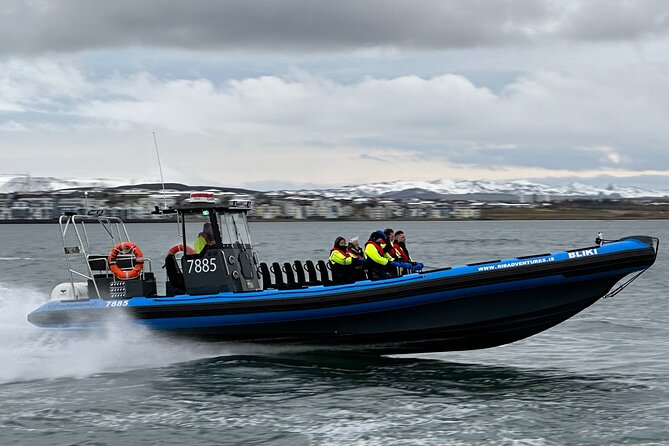 Whale Watching - RIB Boat Adventure in Kopavogur, Iceland - An hour of watching for whales, dolphins, and puffins