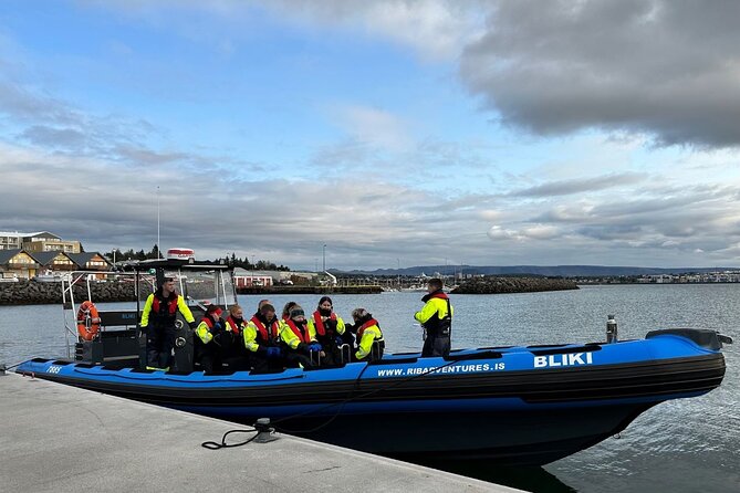 Whale Watching - RIB Boat Adventure in Kopavogur, Iceland - The coastal run through Fossvogur