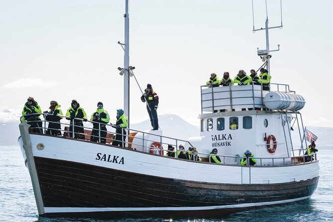 Whales and Puffins Tour from Husavik - The seasonal detail that can make or break your plans