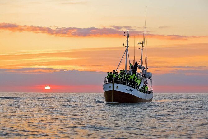Whales and Puffins Tour from Husavik - The wildlife of Skjálfandi Bay