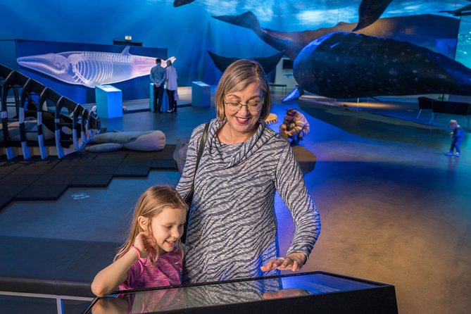 Whales Of Iceland Admission Ticket - How Long to Stay and What to Combine Nearby