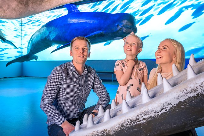 Whales Of Iceland Admission Ticket - Practical Details for a Smooth Visit