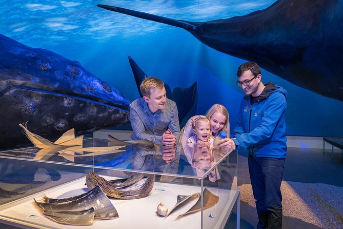 Whales of Iceland from Land and Sea - Leaving Reykjavik’s Old Harbor