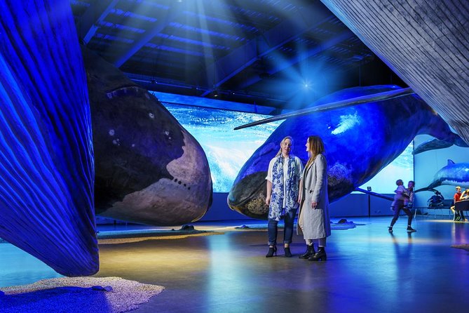 Whales of Iceland from Land and Sea - Is $120.15 a fair price?