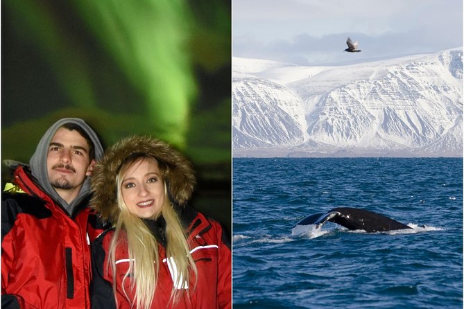 Winter Whale Watching and Northern Lights Cruise from Reykjavik - Two Iceland favorites in one winter booking