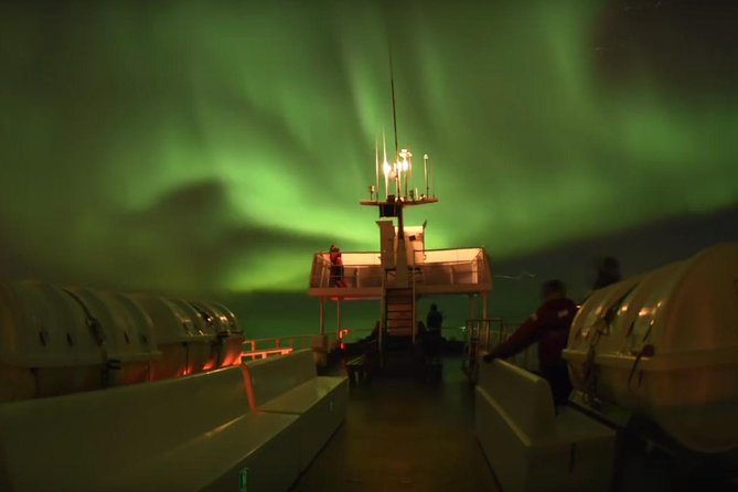 Winter Whale Watching and Northern Lights Cruise from Reykjavik - What the $198 price really buys