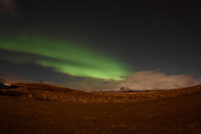 Winter Whale Watching and Northern Lights Cruise from Reykjavik - The three-hour whale-watching trip